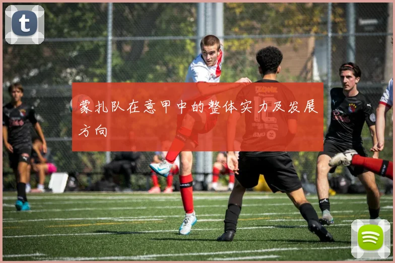 蒙扎队在意甲中的整体实力及发展方向