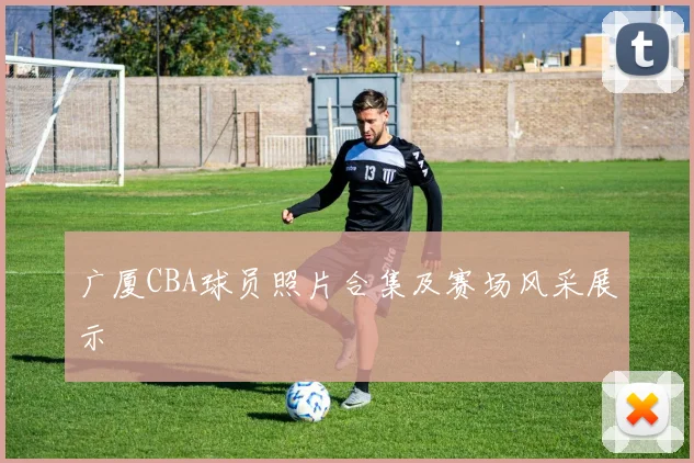 广厦CBA球员照片合集及赛场风采展示