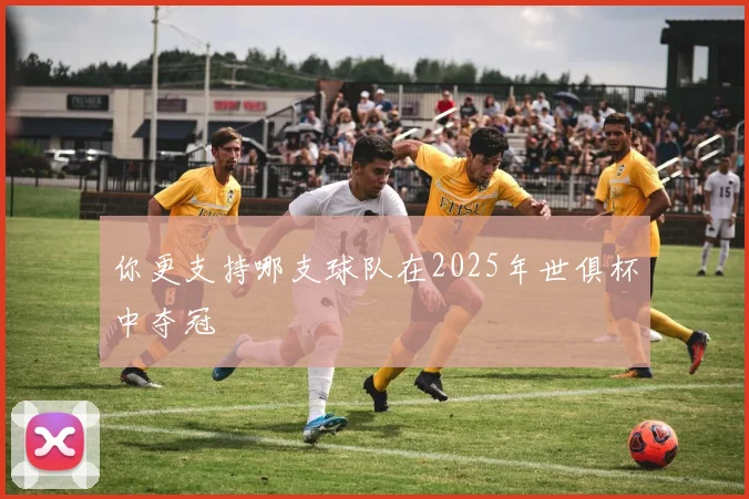 你更支持哪支球队在2025年世俱杯中夺冠