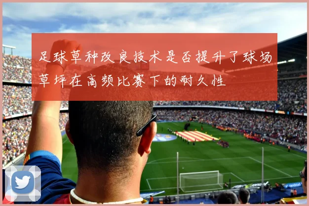 足球草种改良技术是否提升了球场草坪在高频比赛下的耐久性